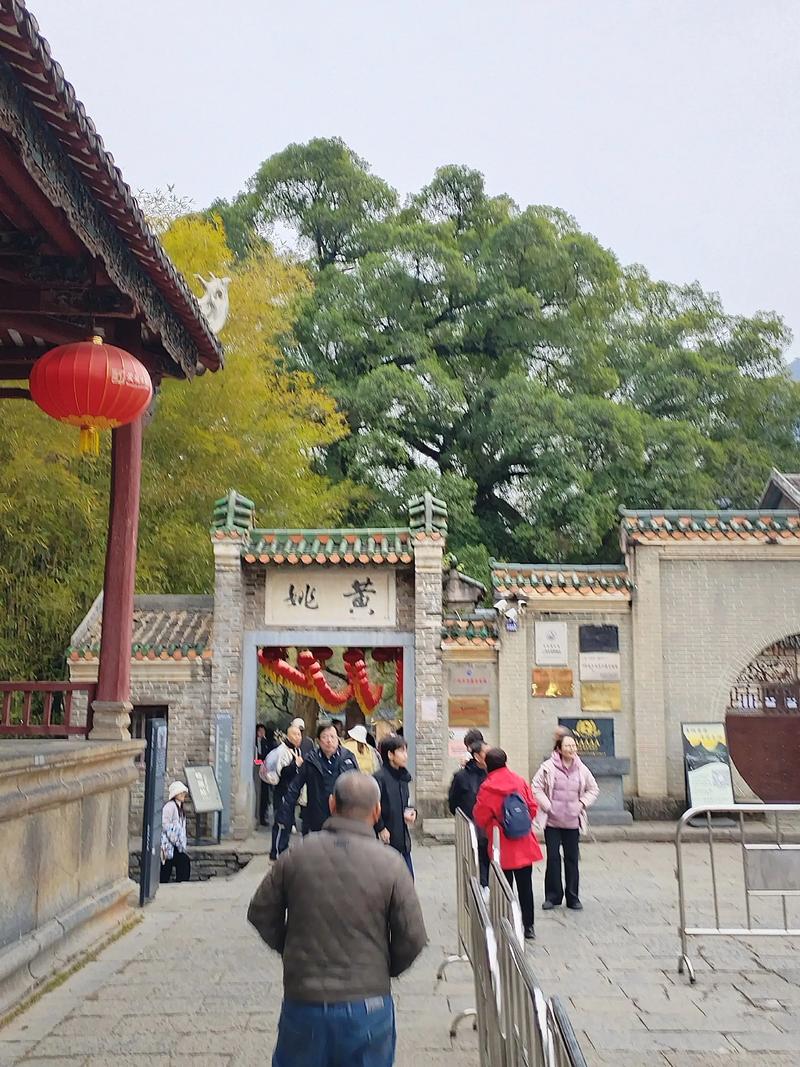 广西豆豉：传统与现代的碰撞